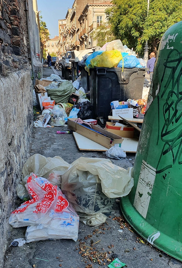 084126150-496ceeb0-70bb-4384-b9aa-b151b4237472