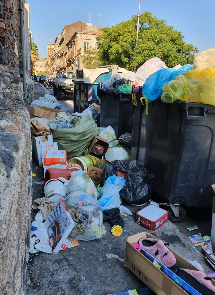 084225000-3e22156f-ef2d-45b2-8054-80fa15e73715