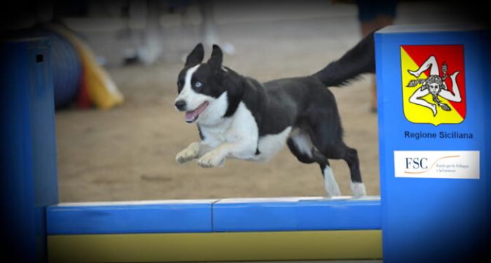 140929119-78aec69f-a79e-4fc9-a20e-29dd3bd5209b