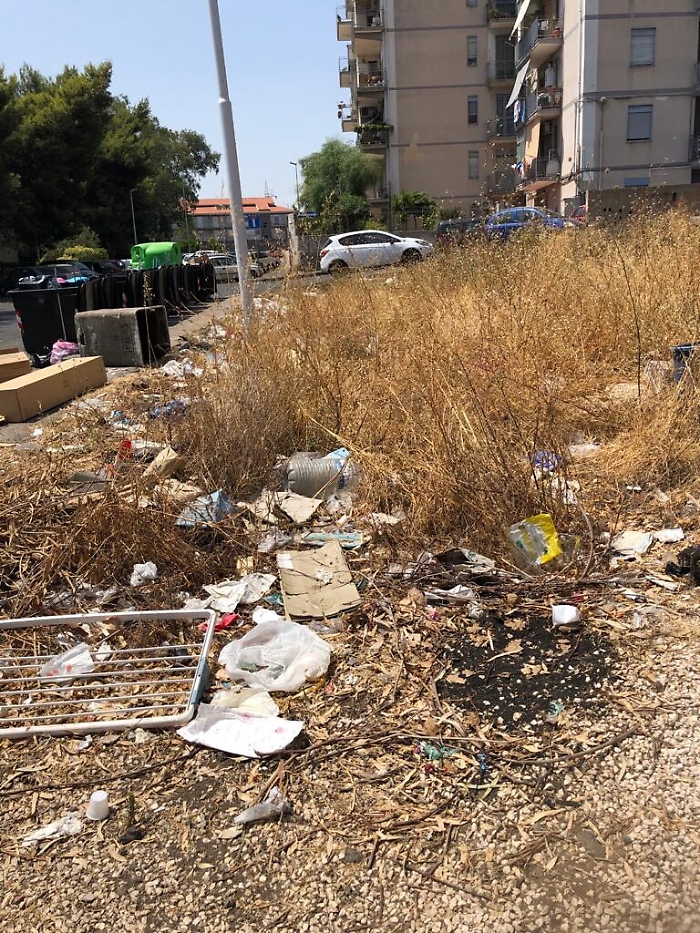 154724156-b05f67da-db2e-4d2e-8b4d-c98bed052ed2