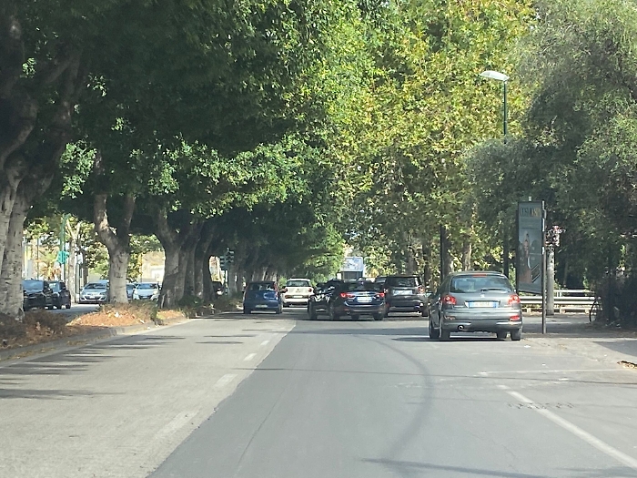 152652117-53729678-c2b9-4650-87f3-ab313f8a90ce