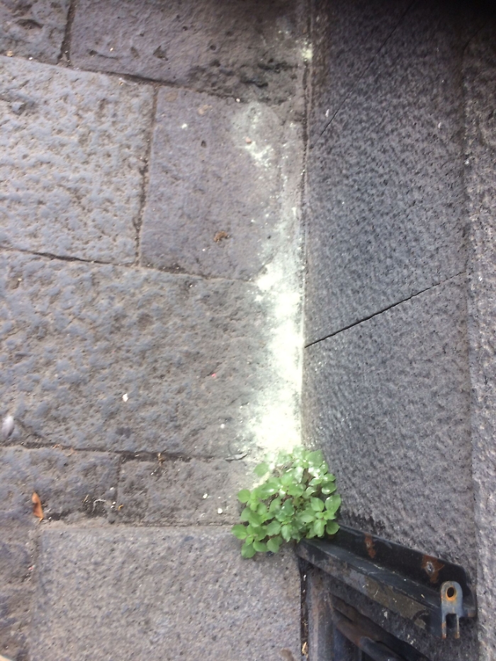 163834479-86253d2c-a470-40ad-b830-06b7c66434f1