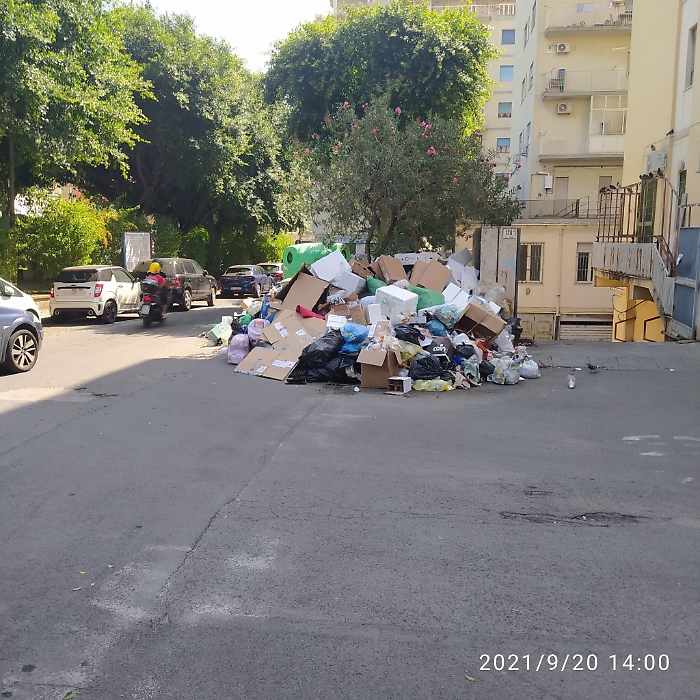 165354549-cbbcc5c5-a5d2-43ce-9ecc-c4a3de8d9bb4