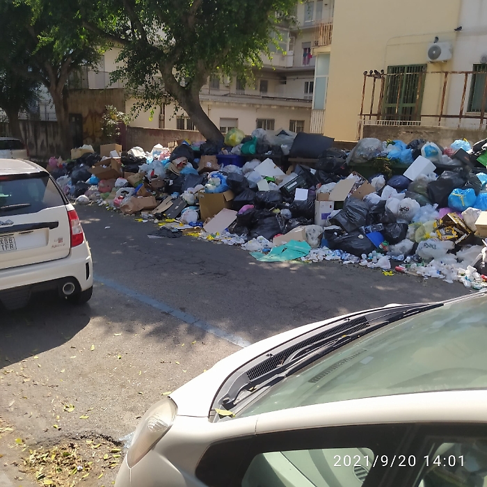 165355260-25997bf0-d949-4790-a43c-616c7a94eb84