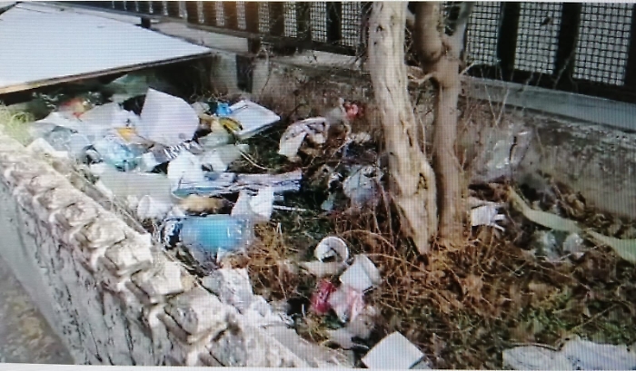 172055291-a9204761-fe86-41db-815d-09ee71340d4c