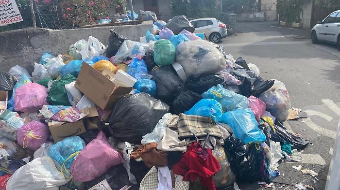 154238353-971a95a1-cca7-4102-81cd-a0c3c622fb31