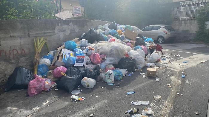 154238357-aac501a8-0175-493f-aa96-83930ff36edb