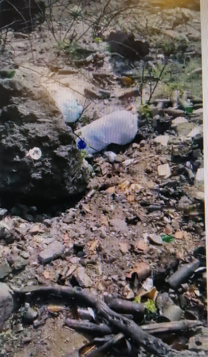 171129568-a10f0077-ec96-4f31-9477-9a2e52a5701f