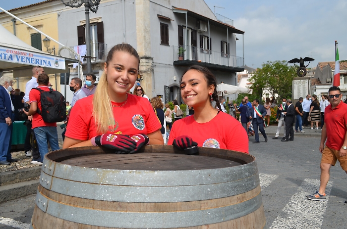 190334978-ba8158f8-3807-4fde-8221-7e74b97962c6