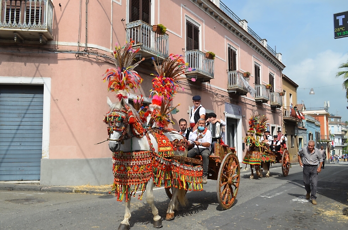 190606730-71c9563a-af5f-4649-ba8b-cdaf046d24c5