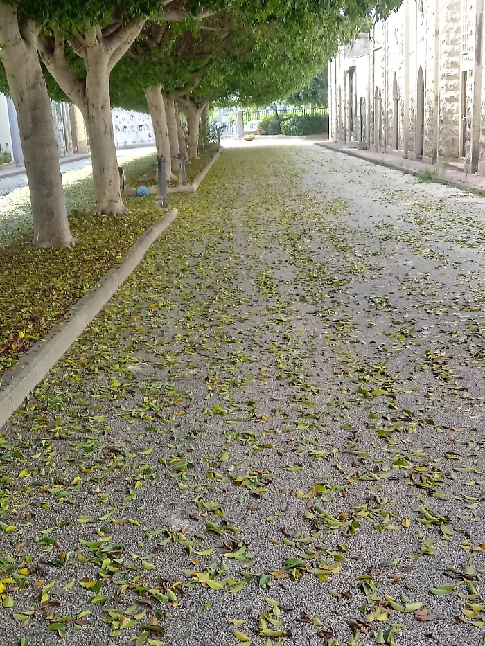 153730576-0ca0509c-ea75-4202-b43a-c2baa3679128