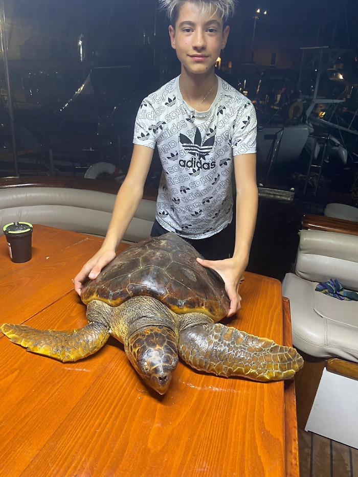 162851371-814a7bb4-4b44-4c72-9058-fc4f1686110e