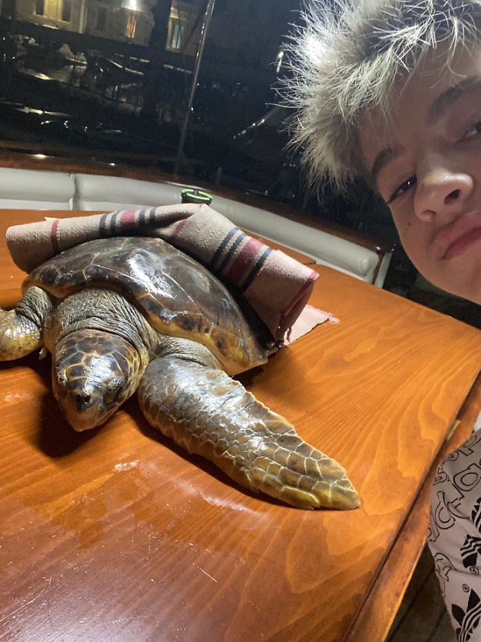 162851395-6dcbc415-fc20-4c52-894f-7688449a9263