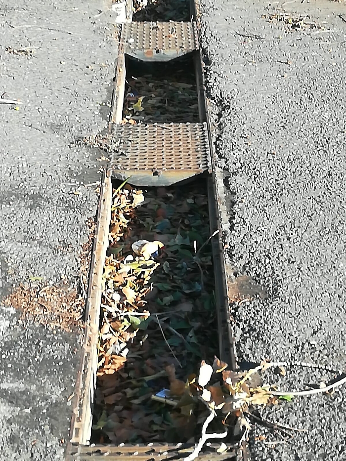 154635329-ae3537c8-b470-4d91-b46f-1cc36d28cf28