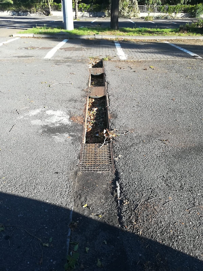 154637214-d8cb9d6c-a45d-47cb-b3f4-f92b4e9c5759