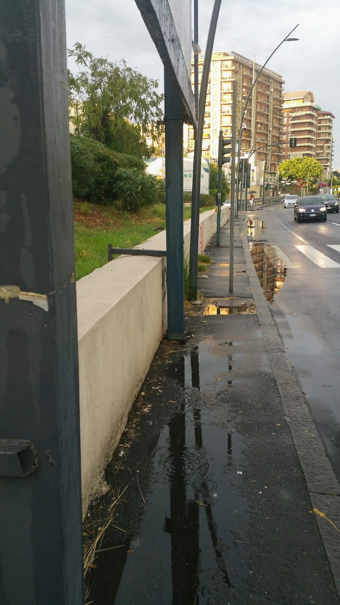 163223626-6254a368-b8ed-4f05-93e4-09d55f4ffe84