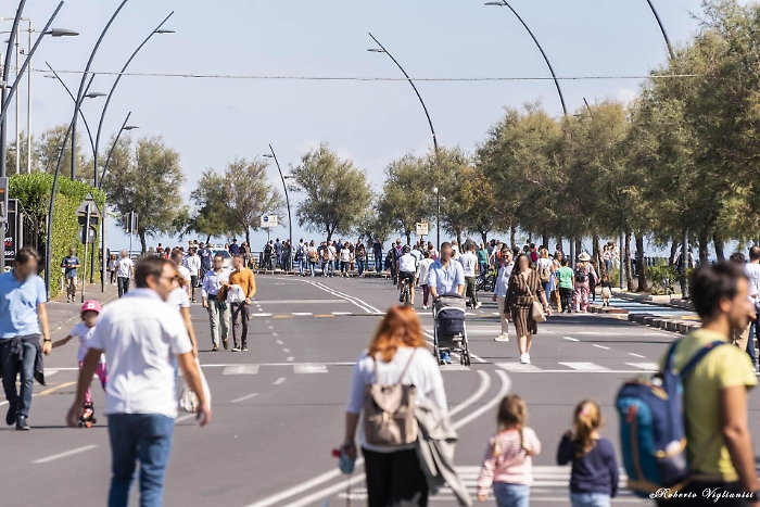 155422643-2d045d44-3953-41f3-9f84-d2c985137817