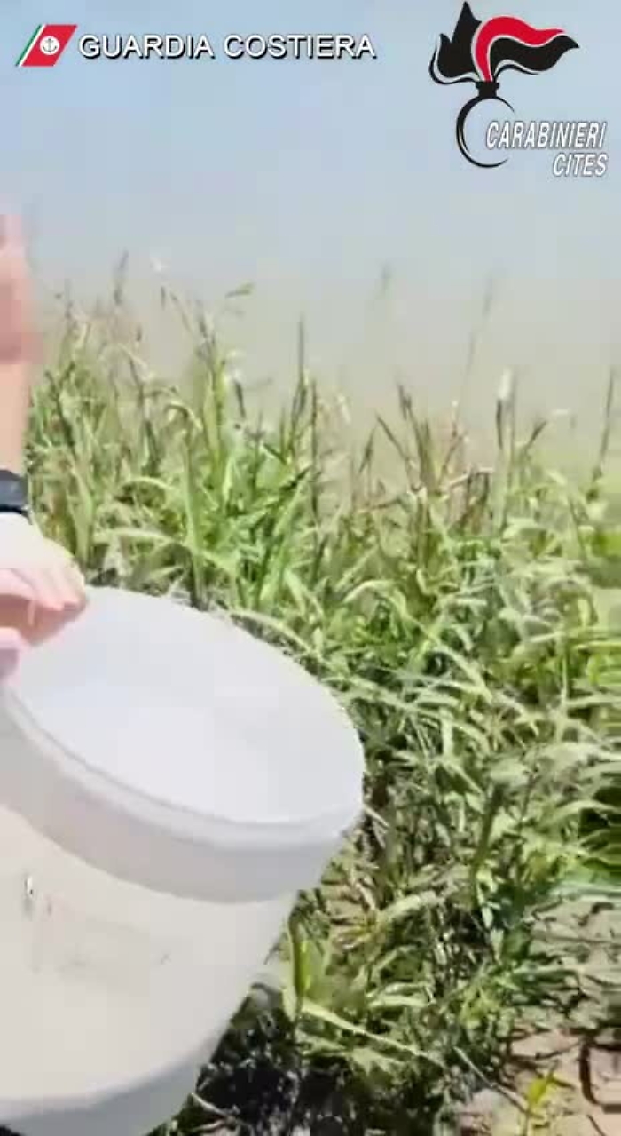 122849714-9449c49b-30dc-4bb2-bad5-599ba4caed96