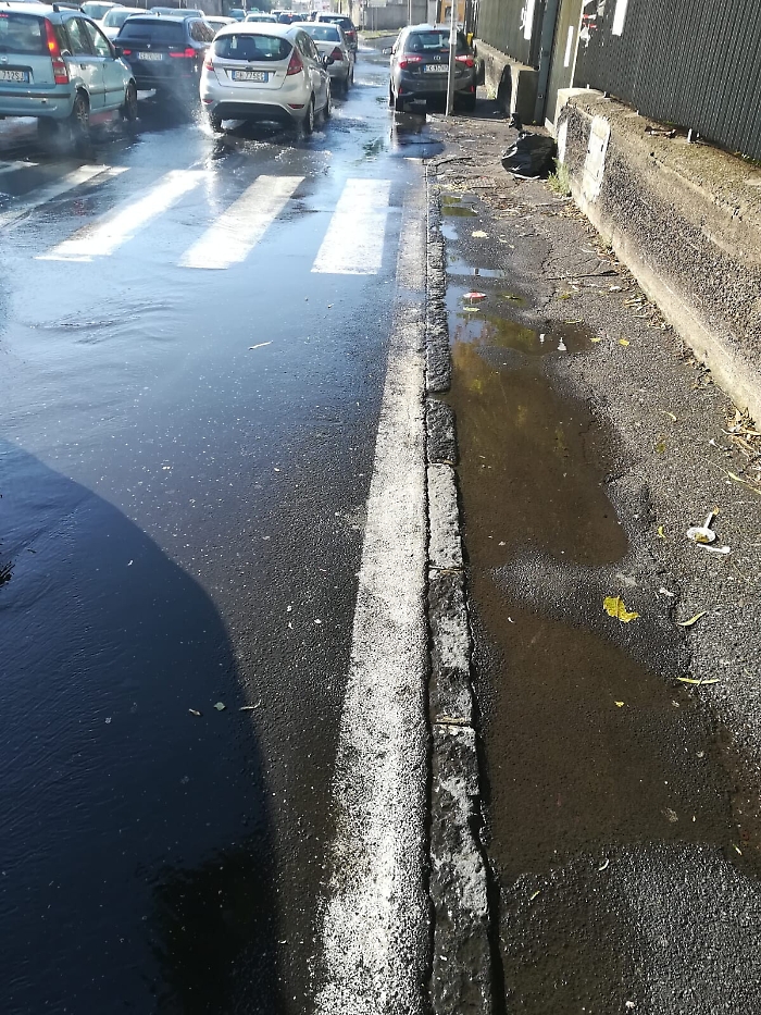 163547954-4480054e-26b2-4d9e-84f4-81fd1d25e03c