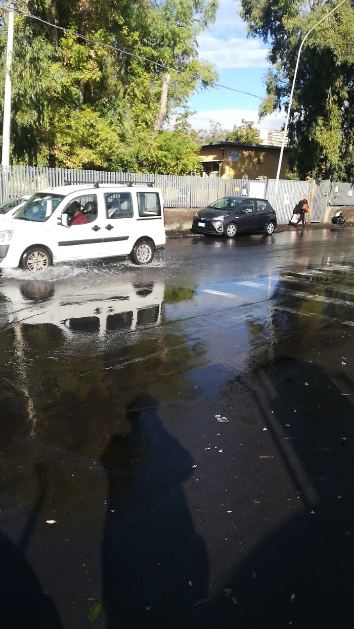 163548618-4680d630-680a-45a7-aa69-aa1d52e2806e