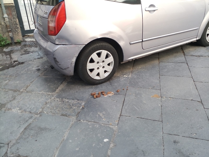 164810923-8059c957-6454-4c3d-b06e-1d0e15041316