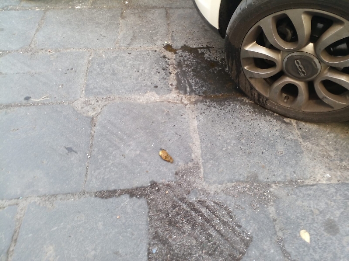 164810947-5caf25fe-e9ae-4c4b-863d-19b542427e95