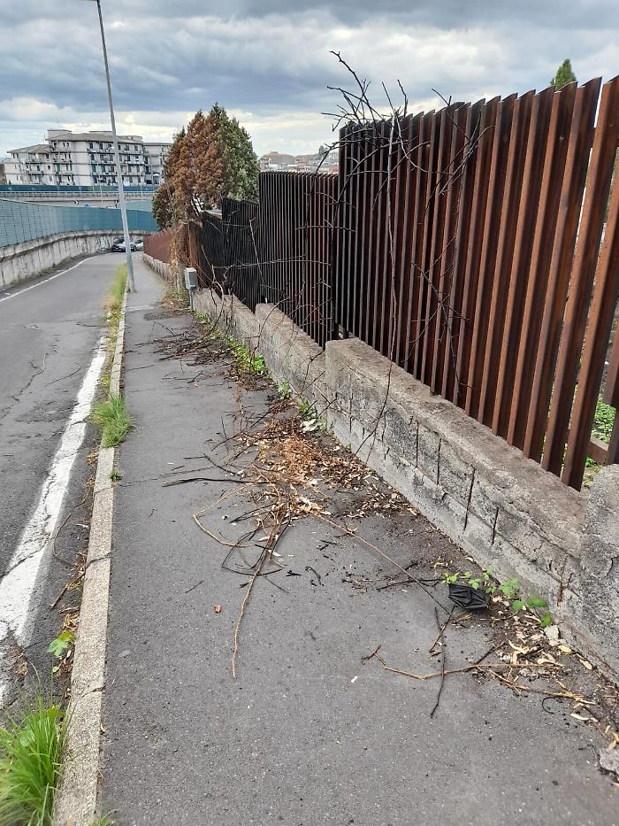 152821627-e8beeb0b-e338-4aa6-9fae-2f07337a6e24