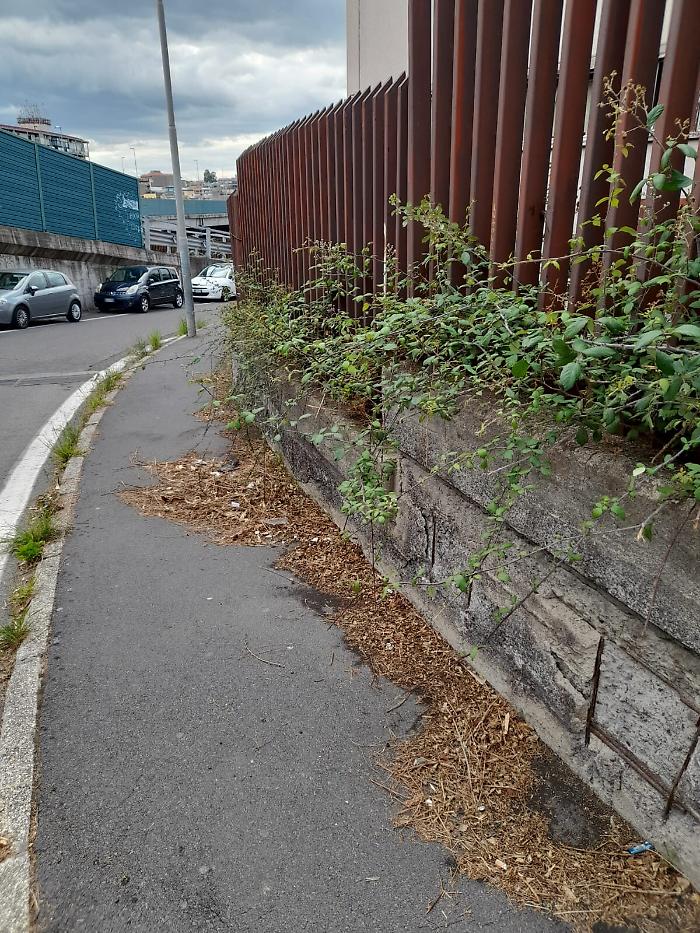 152822110-a4e320a3-111a-4b10-ad27-a69eaff1b124