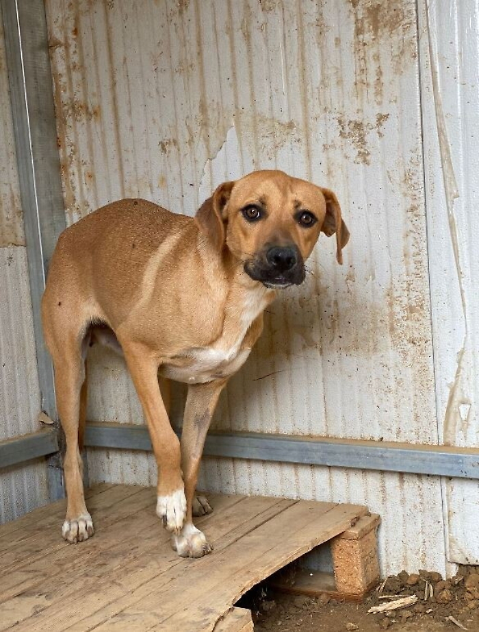 093846575-b1557efc-2812-4a83-9e52-35900e49584d