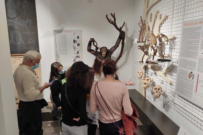 130344028-f4d9f1bf-02a0-46bc-a433-078e571fbc76