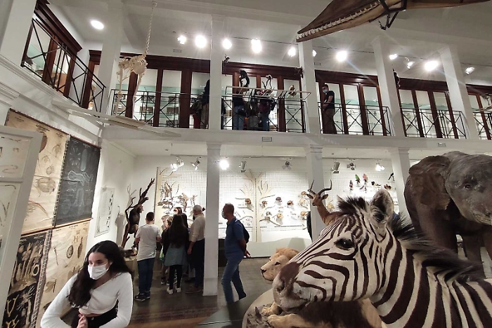 130344314-7f3a4bd4-e11a-4585-9e2e-78a4b1247efc