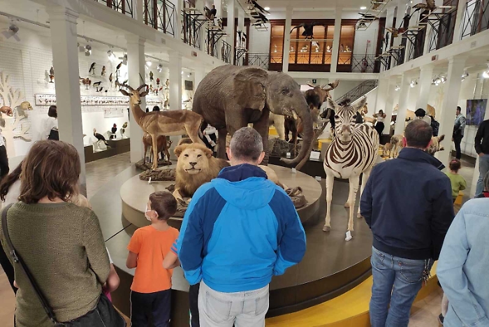 130345132-84fb78f5-32eb-4748-be5e-7c7fb27a97d2