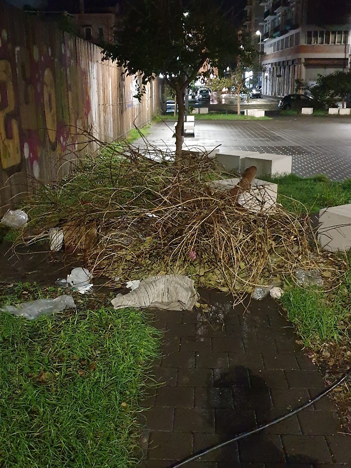 151725771-3d804c79-648d-4547-8ef0-d507f4767932