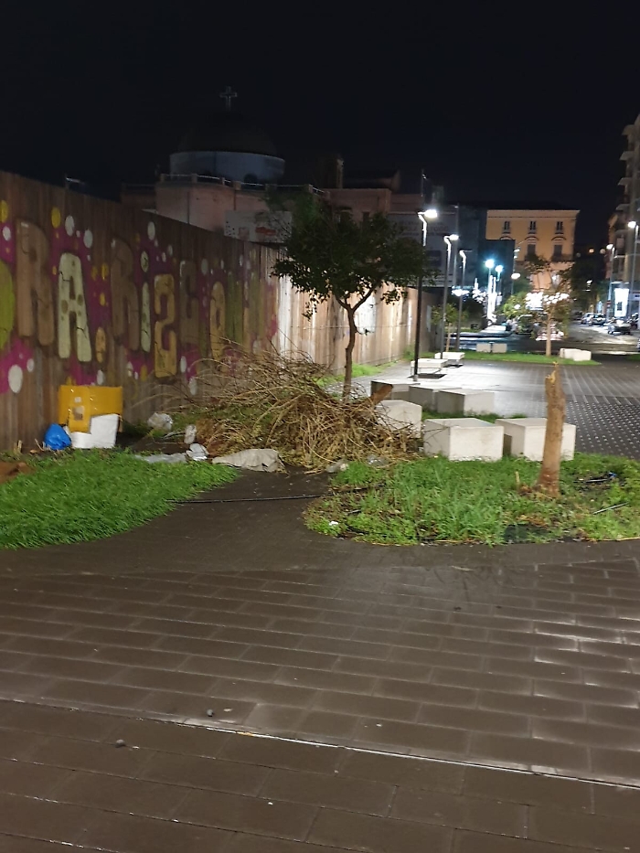 151727209-fa2567b8-420a-431b-bfec-982906278c20