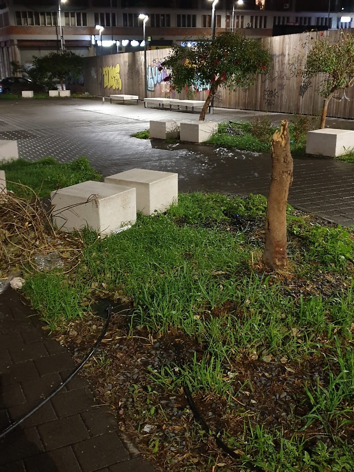 151727251-b179745b-289c-4404-97f3-e2e8caae3610