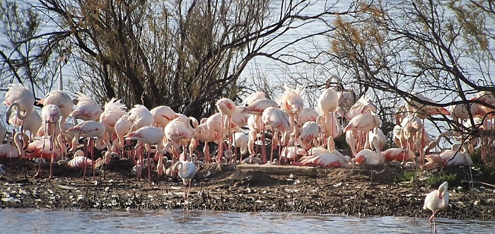 113217320-fee9ad36-3fdf-44fa-9559-5c35f85d3c28