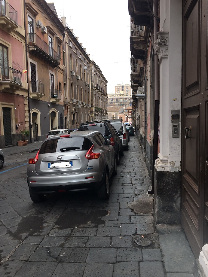 163631340-962016b3-3da0-4766-9da1-74146ae18a31