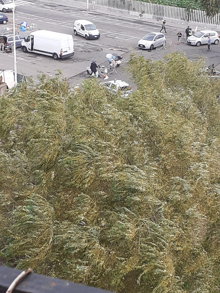 161807316-7b245c14-08e0-482c-b198-8aae4cb520ac