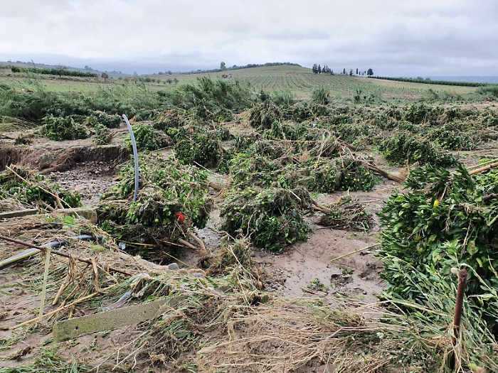 140654147-f2be61f2-89bb-4711-8992-d5866a8d45ef