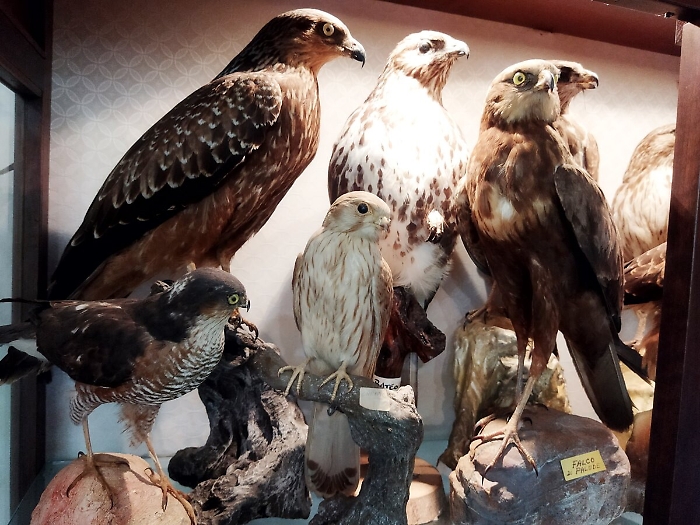 082354247-114e769e-4213-42bf-89c7-5b4baf263d1e