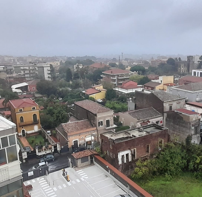 170557829-8d372b82-cf59-4b9c-913a-5d7eb425dac8