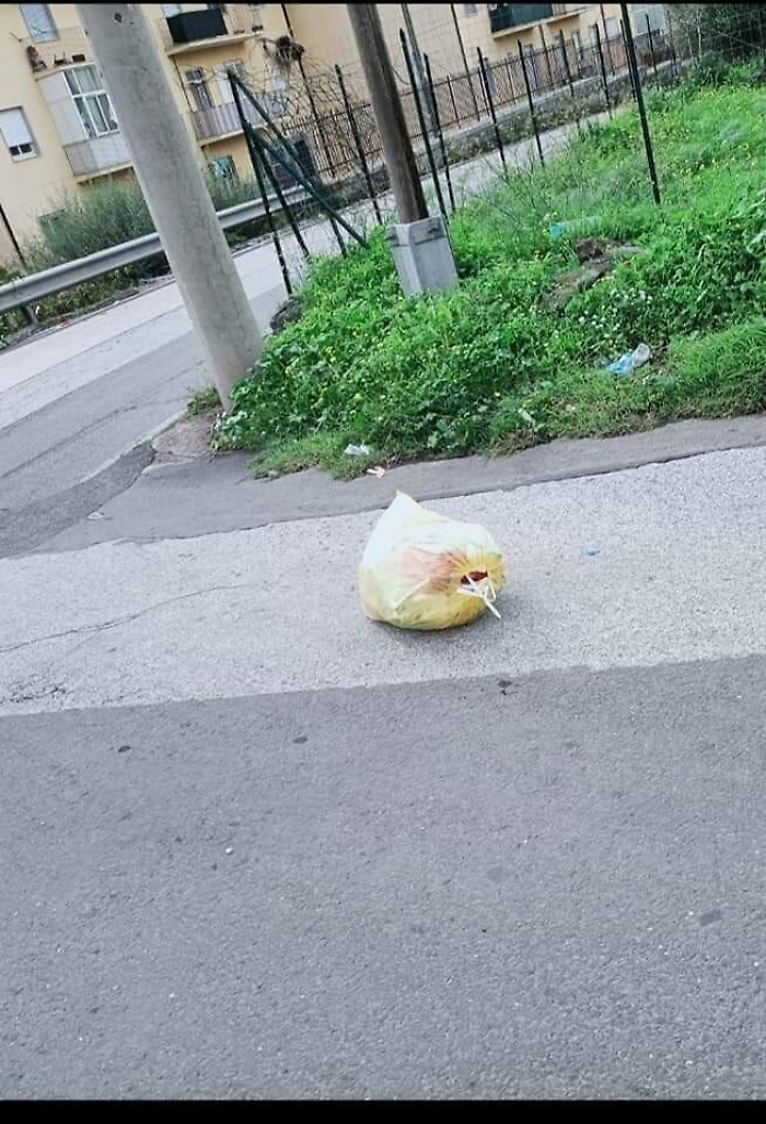 172639859-b27324b7-3e13-43d0-9d8f-108023a61be7