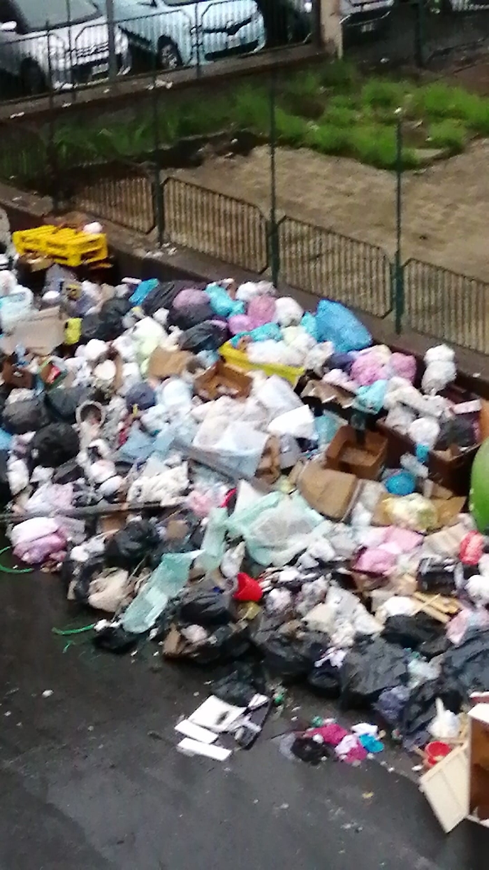 161123151-86a0fc47-57b1-438e-8256-0a4dc97cde7e