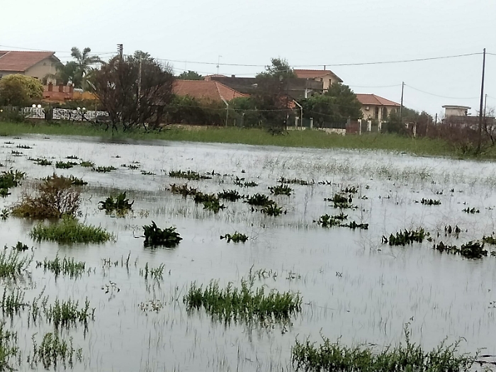 163625011-7d5ac41e-c688-486b-b03c-225e724f27e4