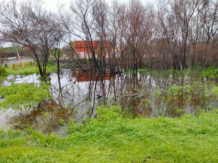 163718451-4a2035dc-43bc-4f3b-841c-d07a4df6589d