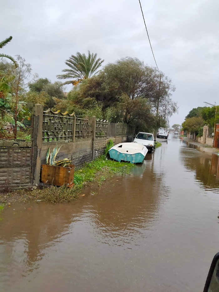 163741826-a0fda267-3ba8-41bd-841c-6711ef6c690d