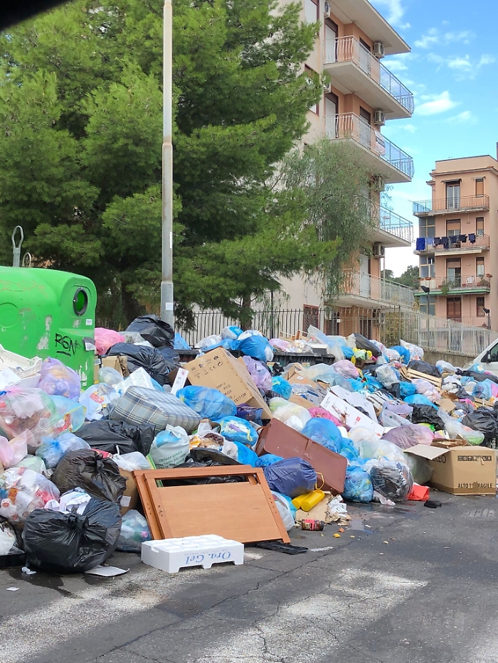 171123919-e08898e3-326d-4dd8-b90a-18d7ac53035f