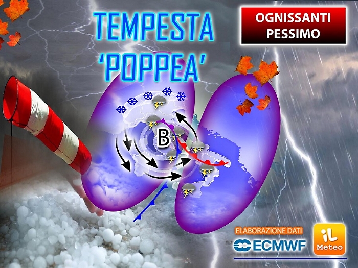 162732282-ce1caeb3-5ac9-4d81-93d3-f4b476fc8a75