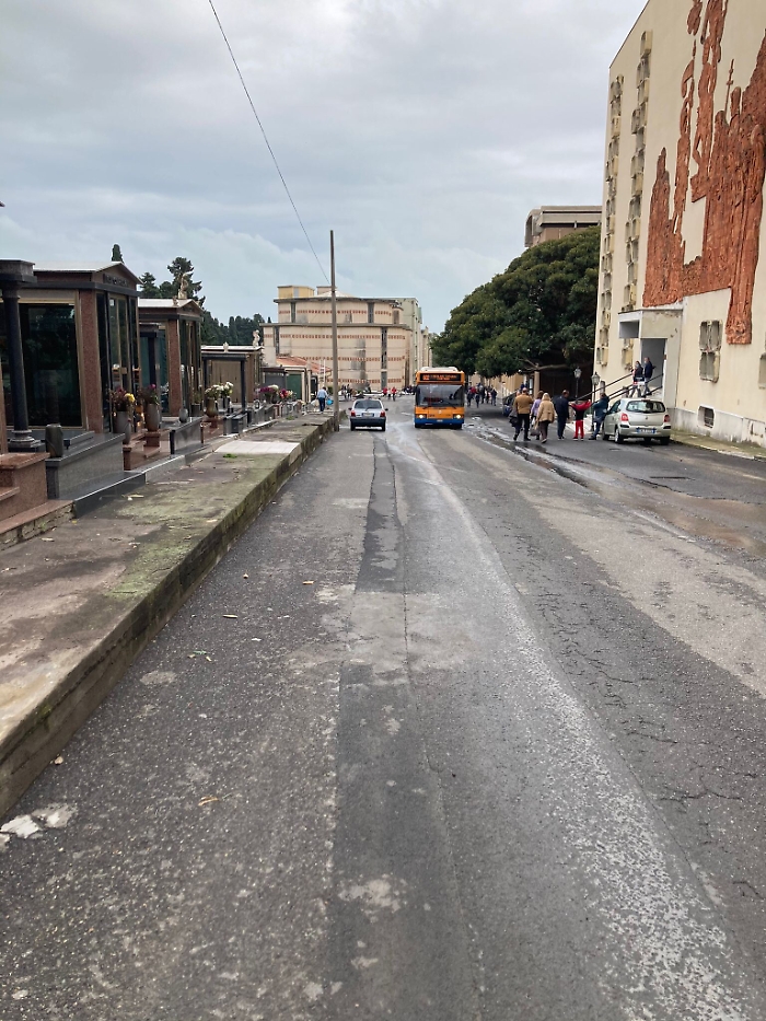 163505549-e3277341-996c-41b2-b435-6b2c0f7e4d25