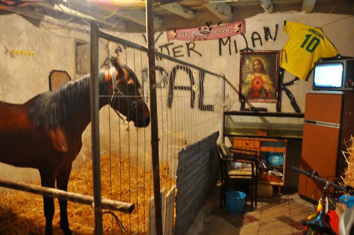 150726344-26a5cdb1-d613-464b-a868-670d5fa2ff39